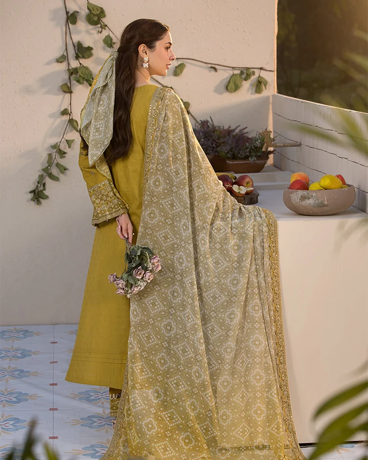 Sapphire 3-Piece Embroidered Dhanak Suit with Printed Embroidered Shawl – Code 892 - alternate view
